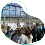 moestuin cursus