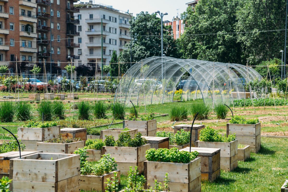 Wat is urban farming?