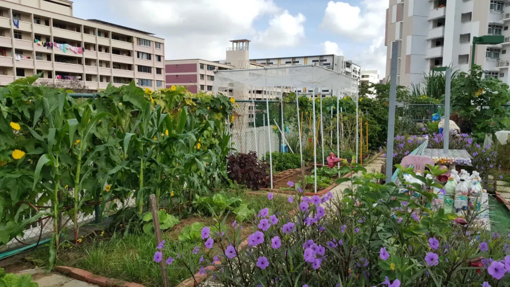 urban farming puur permacultuur