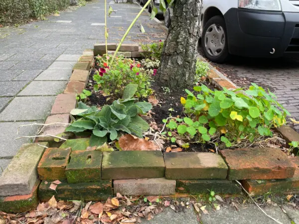 urban farming puur permacultuur boomspiegel