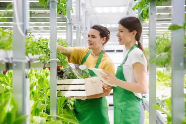 urban farming puur permacultuur vertical farming