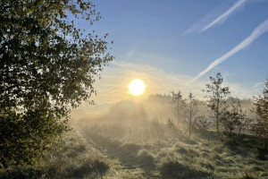 voedselbos boer puur permacultuur
