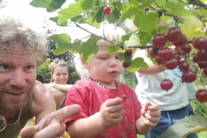 bessenplukken voedselbos puurpermacultuur