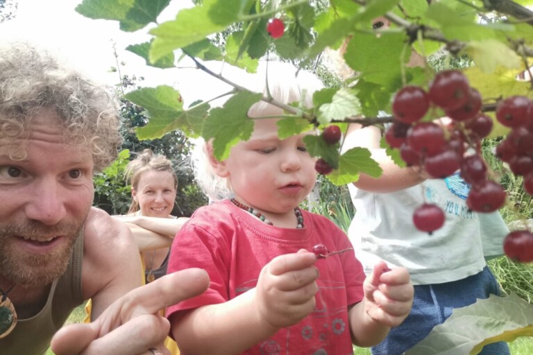bessenplukken voedselbos puurpermacultuur