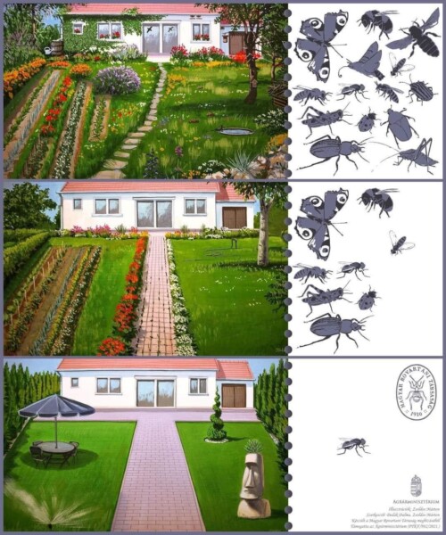 biodiversiteit tuin