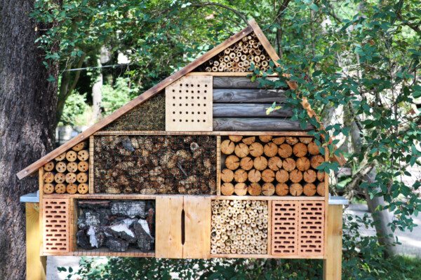 insectenhotel puurpermacultuur
