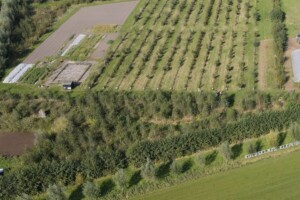 voedselbos klein dongen puur permacultuur