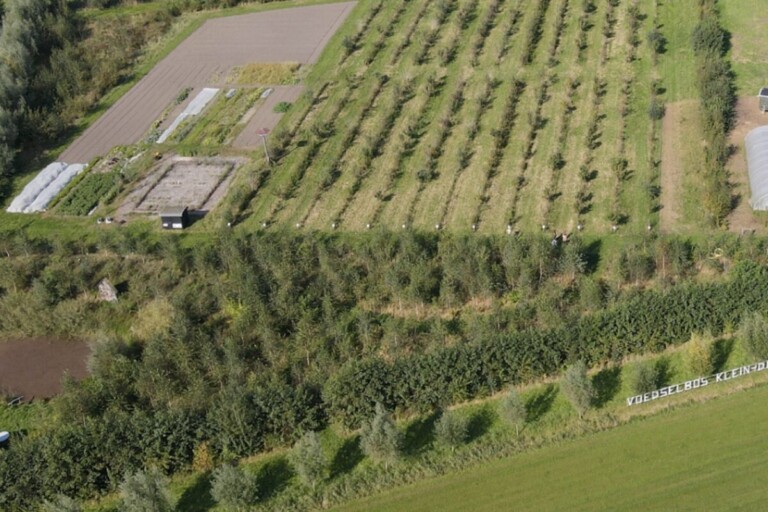 voedselbos klein dongen puur permacultuur